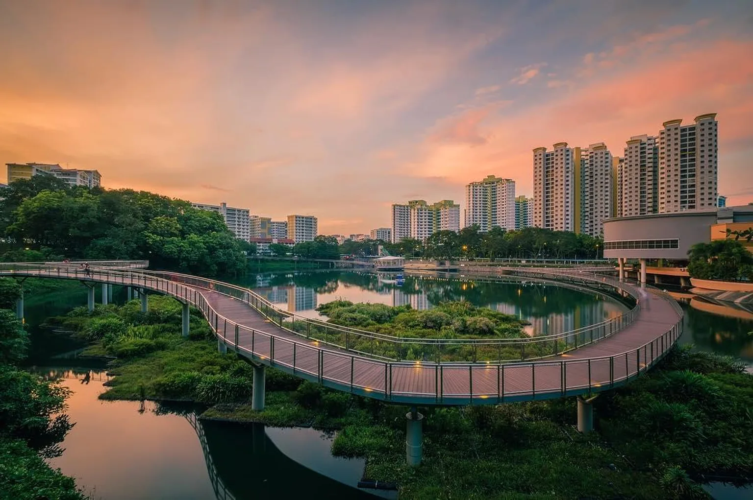 Greenery near Solano Grand EC in Bukit Panjang